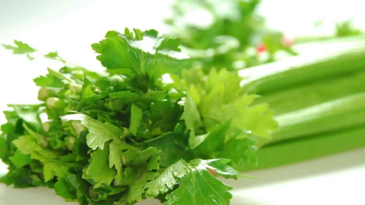 This Is What Happens When You Eat Celery Every Day For A Week I Had No Idea